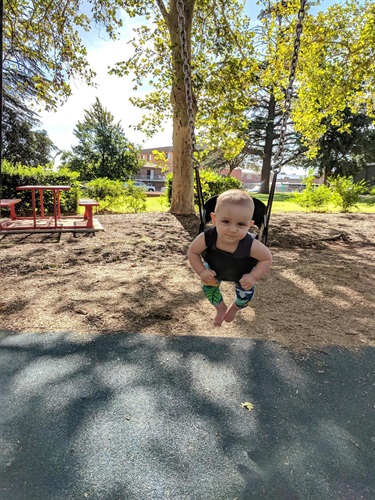 Mountford Park - toddler on swing