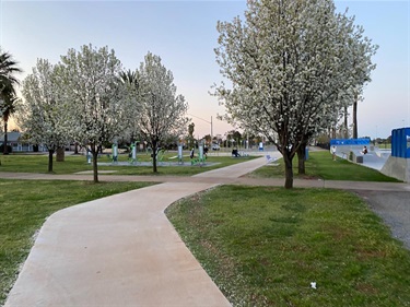 Walking Path and Skate Park 2021