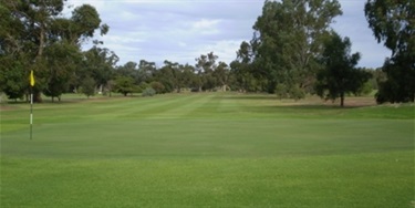 Leeton Golf course - 18th fairway