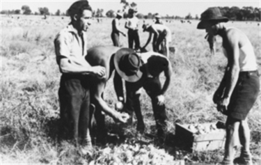 POW camp Yanco