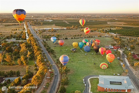 Balloons over Leeton