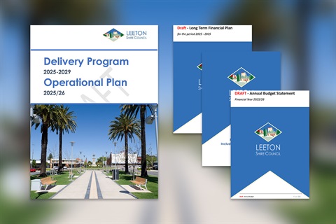 LSC_25-29 Delivery Program Operational Plan_Website Preview_amended_compressed.jpg