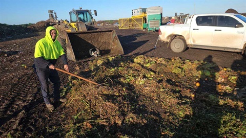 WormTech Employee Checking FOGO Waste for Contamination - (c) WormTech_compressed.jpg