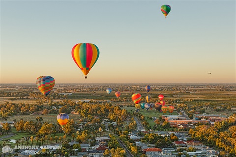 Balloons over Leeton