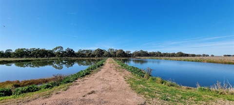 Whitton Sewerage Treatment Plant