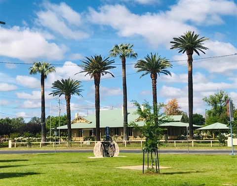 Palm Trees and Visitors Centre